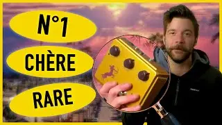 Why is the KLON CENTAUR so famous?
