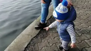 Andrei da de mâncare la lebede și vrea sa conducă mașina