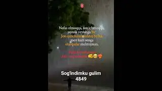 Balki birkun korisharmiz taqdir🥀😞💔
