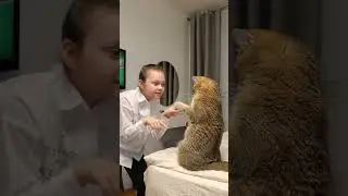 Моё утро перед школой 😆 