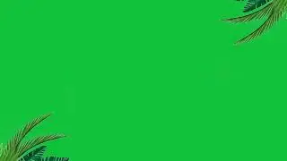 Elegant Leaf Corner Animation | Green Screen Tree Element Overlay