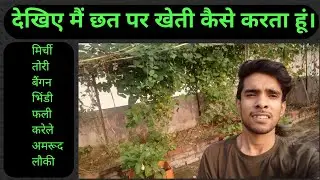 देखिए कैसे मैं छत पर उगाता हूं ढेर सारी सब्जियां।