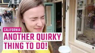 Another weird thing to do in Disneyland | Andrus Tri-Zonal Space Warper | 2019