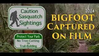 BIGFOOT?