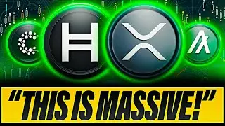 YOU NEED TO REALIZE THIS NOW | XRP HBAR ALGO ADA CSPR & MORE
