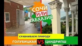 Голубицкая и Цандрипш | Сравниваем природу. Сочи или Абхазия - где лучше?