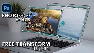 How To Use Free Transform in Photoshop