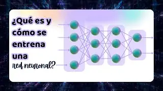 ¿Qué es una red neuronal y cómo aprende? 🤖🧠