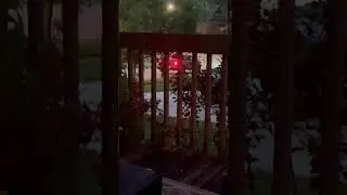 HOA speed limit Checkpoint. When will they learn?