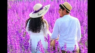 Hale & Baran - Live Love Laugh