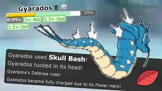 weird birds & power herbs