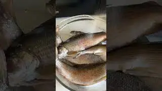 Хариус на гриле #семья #контент #видеосъемка