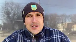 Помощь собакам в военное время