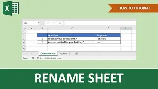 How To Rename Sheet In Excel | Beginner Tutorial