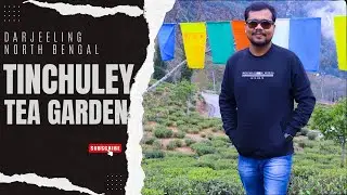 Tinchuley Tea Garden All Details(North bengal Offbeat Destination)
