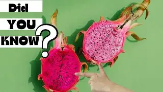 Ish fruit ko khane se badati hei Umar sunkar ho jaoge hairan | Benefits Of Dragon Fruit (EXPLAINED)