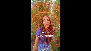 ידעתם שאפשר לגלות לאן לטוס בעזרת אסטרולוגיה?