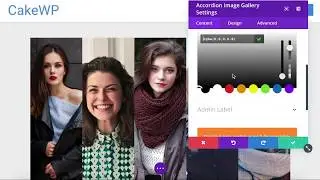 Divi Accordion Image Gallery Module
