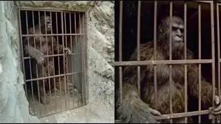 New DISTURBING Videos That Will Make YOU Question Everything!
