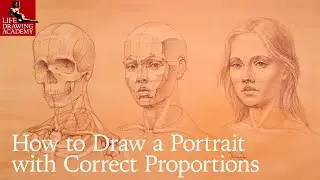 How to Draw a Portrait with Correct Proportions