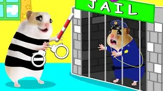 🐹 경찰 햄스터, 감옥에서 죄수 탈출 에 햄스터 Maze