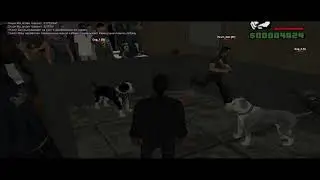 doghunter club