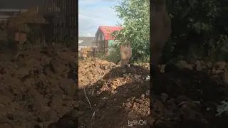 Хижина тайн, Zuev_blitz человек загадка. #Гравитациоонопадение.