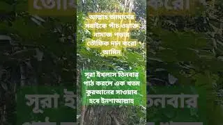 সুরা ইখলাস#shorts#short#shortsfeed