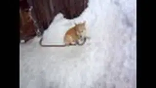 Nude in the Snow!!!