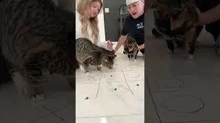 WHO WILL WIN? 