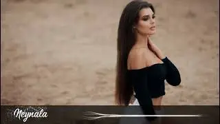 SHAMI - Засыпай солнце (2023)