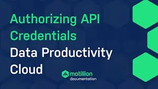 How to Authorize your API credentials on the Data Productivity Cloud