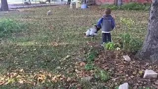 Roster play with kid