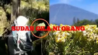 Video Viral Pendaki Wanita di Gunung Lawu Petik Bunga Edelweis, Diingatkan tapi Tetap Nekat