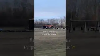 15 ноября 2023 г.