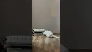 День красоты 🤍