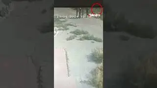 Diyarbakır'ın Bağlar İlçesi'nde kaybolan 8 yaşındaki Narin'in son görüntüleri ortaya çıktı