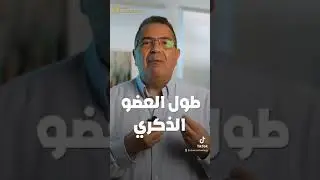 تأثير طول العضو الذكري علي العلاقة الجنسية