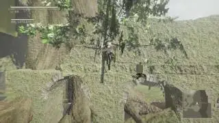 Nier:A Forest skip???