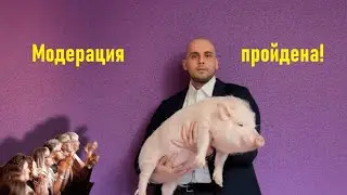 Как пройти модерацию в страховании и что это такое?!