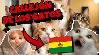 El callejón de los GATOS!!! NO PUEDO CREERLO!!! 😱