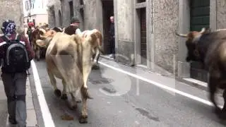 Transumanza a Bagolino