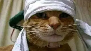 بطل 5 نجوم ايش تتوقعو حصلت😂💔 جنشن امباكت