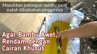 [TAHAP 1] Teknik Proses Pengawetan Bambu Sederhana Cairan Khusus