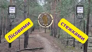 Лісовими стежками. Коп з Nokta makro simplex + (нокта макро сімплекс плюс)