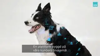 DOX Kort 5