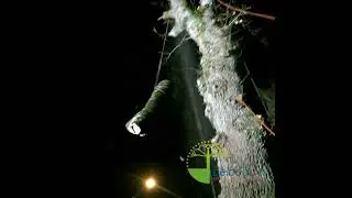 Démontage de nuit