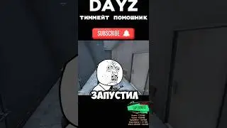 Хороший тиммейт в беде не оставит🤣 Dayz 