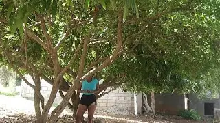 VLOGTOBER|| COME CHERRY PICKING WITH ME 🍒 🍒 🍒