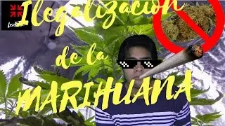 ILEGALIZACIÓN DE LA MARIHUANA | LeoFTS